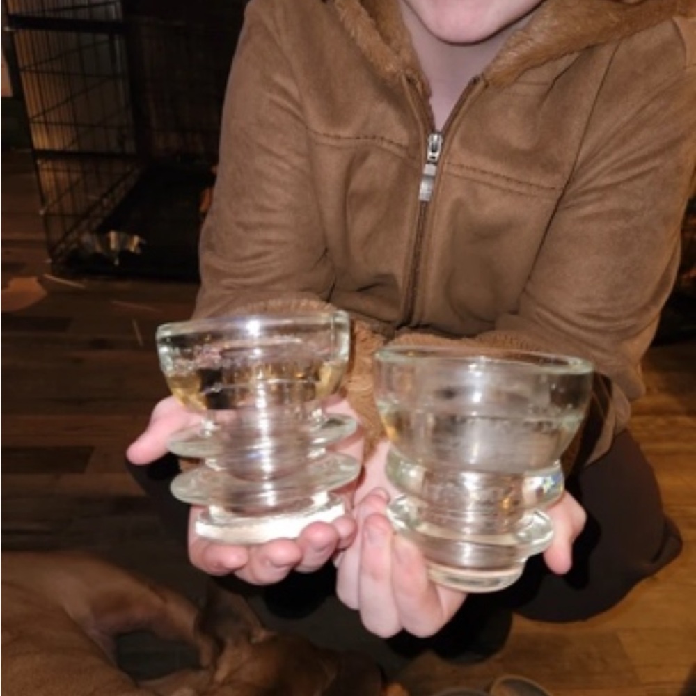 Clear Glass Dog Bowl Insert – Transparent
